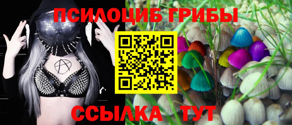 Галлюциногенные грибы Psilocybine cubensis  Галлюциногенные грибы ЛСД  Городец  Вход с VPN 
