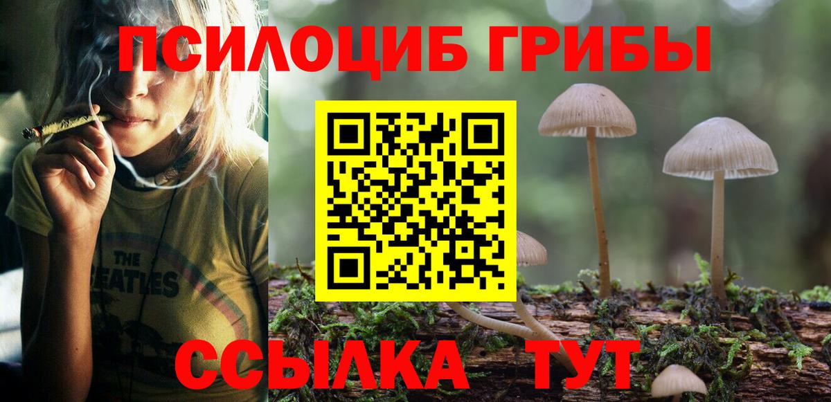 Псилоцибиновые грибы Psilocybe Городец